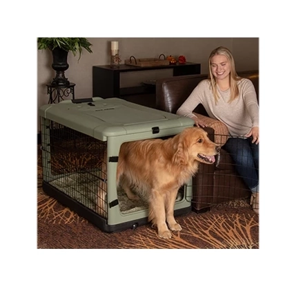 Add on for Interchangeable Wagon/crate Shelf Sitter Dog -  in 2023